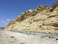 View of the massive seacliff along Torrey Pines State Beach.