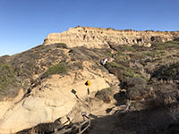 Top of the Torrey Sandstone exposed along the Beach-access Trail with the contact of the Guf Flemming marine terraces