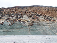 Delmar Formation (green) overlain by Torrey Sandtone (brown) exposed in seacliff at Torrey Pines State Beach.