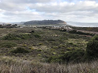 View of the Torrey Pines lagoon area with the Torrey Pines mesa in the distance.