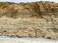 Rockfall material accumulates at the base of the seacliff at Torrey Pines Beach 