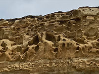 Tafoni-style weathering features in the Torrey Sandstone along Torrey Pines Beach seacliff.