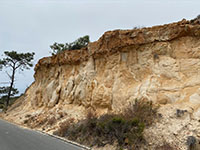 Lindavista Formation forms the caprock of High Point in the Torrey Pines State Nature Preserve