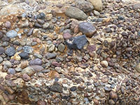Conglomerate in the Scripps Formation in an outcrop near Dike Rock is composed mostly of gravel of volcanic origin.