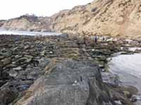 Dike Rock is an eroded remnant of a dark volcanic dike exposed along the beach in the La Jolla Underwater Park marine reserve.