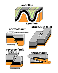 Different kinds of folds: anticline and syncline, and faults: normal, reverse,reverse, and thrust