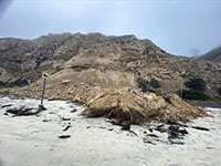 A massive cliff failure (rock fall/landslide) extend for 100 feet onto Blacks Beach. Note trees in the toe.