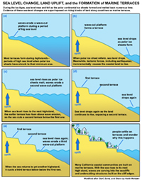 Diagram that shows how the rise and fall of sea level over time creates marine terraces that are slowly rising.