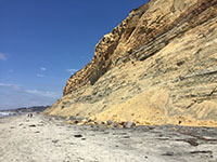 A talus cone created by slowly eroding fine debris at the base of the seacliff on Torrey Pines Beach. 