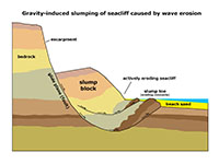Diagram showing a cross section of a massive slump caused by seacliff failure along a beach.