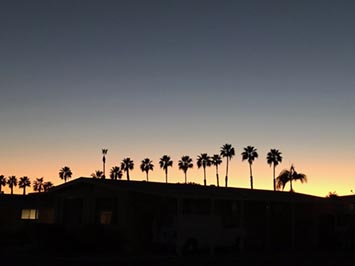 Evening clear sky grading to red shades along the horizon beyond roof tops and palm trees.