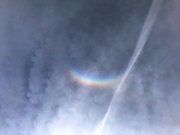 Rainbow circumzenithal arc in thin cirrus cloud cover (sun direction at bottom). This arc was directly straight-up overhead, the Sun was at about 45 degrees to the southwest. A contrail crosses the arc.