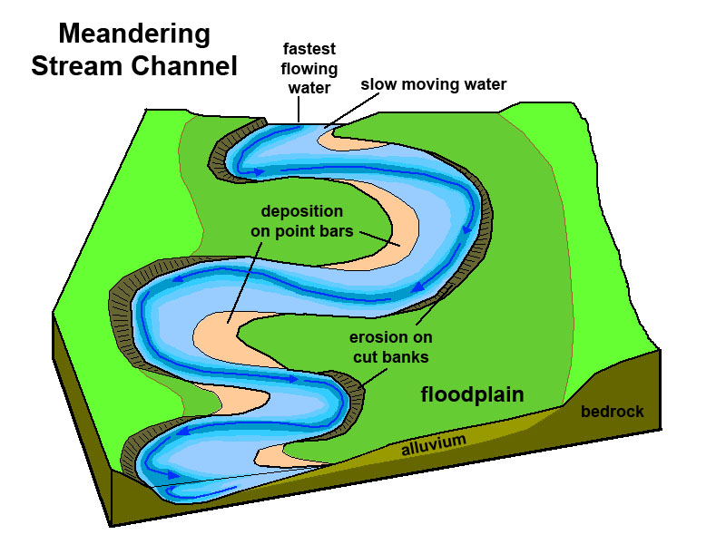 Means (SEs) of stream physical characteristics outside (grazed