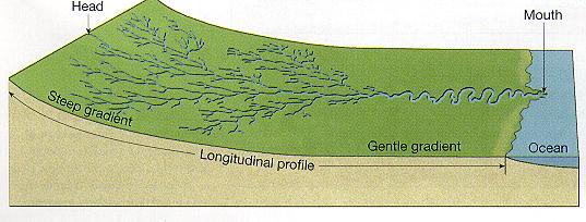 STREAMS hydrology or geo-hydrology is the study of streams or