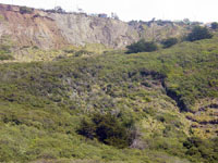 Daly City coastal landslide