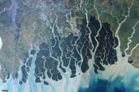 Ganges River Delta with mangrove swamps in the Bay of Bengal between India and Bangladesh.