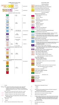 Geologic Map Legend