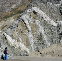 Pegmatite dikes at Kehoe Beach, Point Reyes National Seashore, California