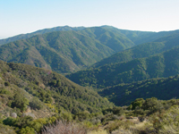 Loma Prieta Peak near San Jose, CA