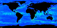 Map of the earth showing global ocean current patterns. . 
