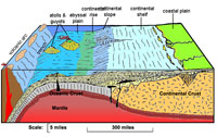 Ocean margin features