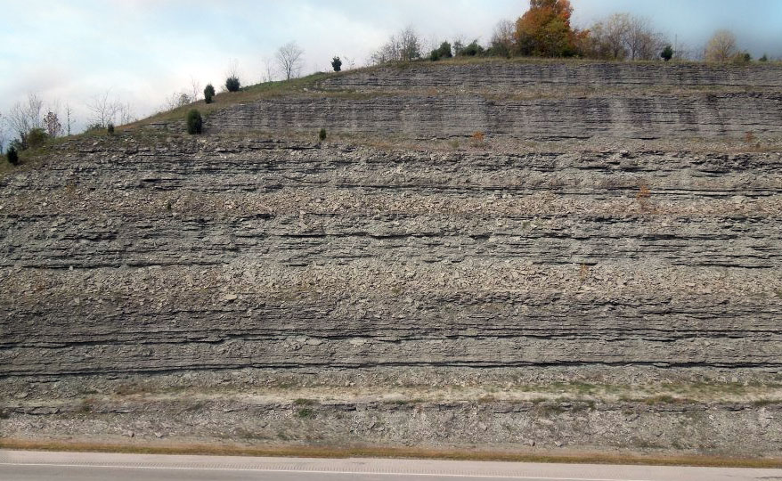 Ordovician-age strata exposed in the Cincinnati Arch region, this view is near Maysville, Kentucky