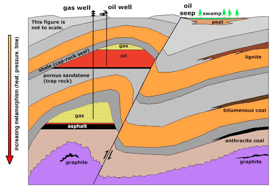Maturação orgânica de petróleo e carvão