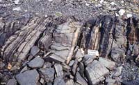 Sheeted dikes formed from magma injected along  parallelfracture zones.