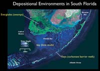 Florida depositional environments