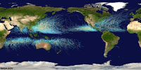 Storm paths of Hurricanes, Typhoons, and Cyclones