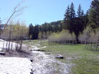 1st order stream in Great Basin National Park, Nevada