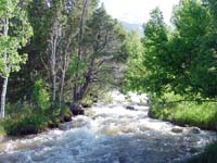 2nd order stream - Lehman Creek in Great Basin National Park, Nevada