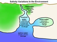 Salinity variations in the environment