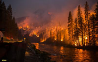 Wildfire decimating a forest along a river in Washington.