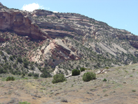 A large monoclinal fold along the north side of the Uncompaghre Plateau and the south side of the Grand Valley near Grand Junction in Colorado National Monument.