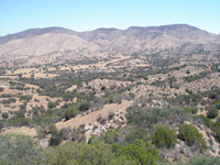Franciscan basement with serpentinite overlain by Great Valley Sequence in the Diablo Range south of Pinnacles National Park. Diablo Range