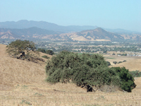 Loma Prieta and the Santa Clara Valley near Morgan Hill, California. 