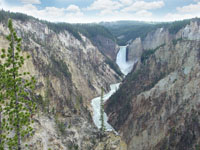 Yellowstone Canyon with Lower Falls, Yellowstone National Park, Wyoming. 