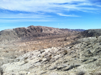 Anza Borrego Desert in eastern San Diego County is part of the Colorado Desert Province. 