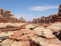 The Needles district in Canyonlands National Park, Utah. 