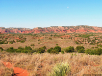 Caprock Canyons State Park, Texas is part of the eastern escarpment of the Edwards Plateau in West Texas. 
