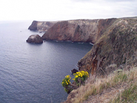 Sea cliff with a marine terrace on Santa Cruz Island, the largest of the Channel Islands near Santa Barbara, CA. 