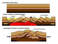 Geologic structures associated with crustal compression and extension.