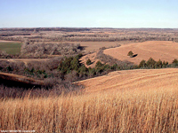 The Flint Hills of eastern Kansas is characterized by low escarpments and thin, cherty gravel soils. 