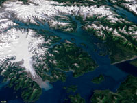 Satellite view of tidewater glaciers in Glacier Bay National Park. 