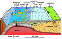 Continental margin showing geology of coastal plane and continental shelf sediments
