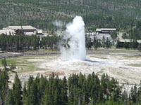 Old Faithful Geyser erupting in Yellowstone National Park, Wyoming. 