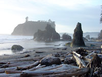 Sea stacks along the Olympic Peninsula coastline, Washington.