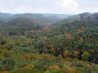 Red River Gorge is incised into the Cumberland Plateau in southestern Kentucky