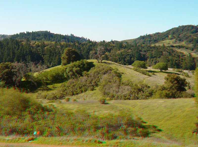 Monte Bello Preserve, Midpeninsula Regional Open Space District, Santa  Clara County, CA